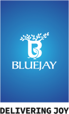Crafting a Premium Digital Narrative for Bluejay Ananda